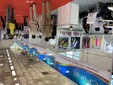 2020年8月印度新德里家庭用品與家電、禮品展覽會VibrantIndia圖片