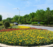 徐汇区植物园绿化养护服务