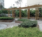 杨浦区植物园绿化养护服务