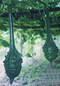 观赏阳台盆栽葫芦种子长廊观赏葫芦种子西瓜种子