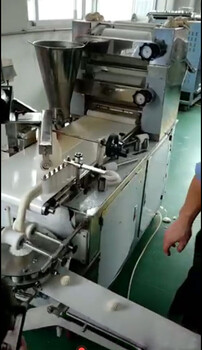 速冻水饺拌馅机生产饺子机