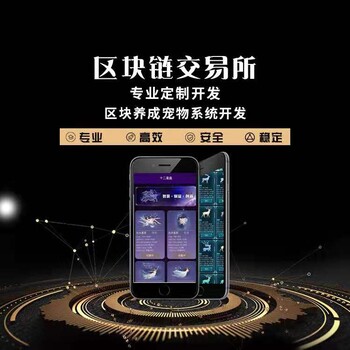 app定制开发系统软件