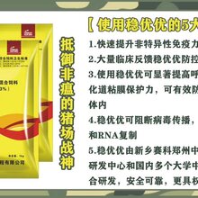 稳优优图片