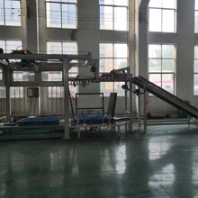 康洛机械机械手码垛机,衡阳康洛机械码垛机服务周到图片