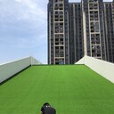 龍門人工草坪排名