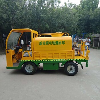 新能源四輪灑水車小型霧炮灑水車價(jià)格消毒車廠家