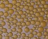 天津爭光萃余液除油樹脂,大孔樹脂色譜