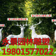ab5d99551215b2fb5088c648ee2de41