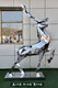 全新鹿雕塑动物鹿雕塑厂家品质优良图