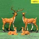 订制鹿雕塑动物鹿雕塑厂家展示图