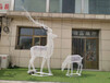 精致鹿雕塑动物鹿雕塑厂家总代直销