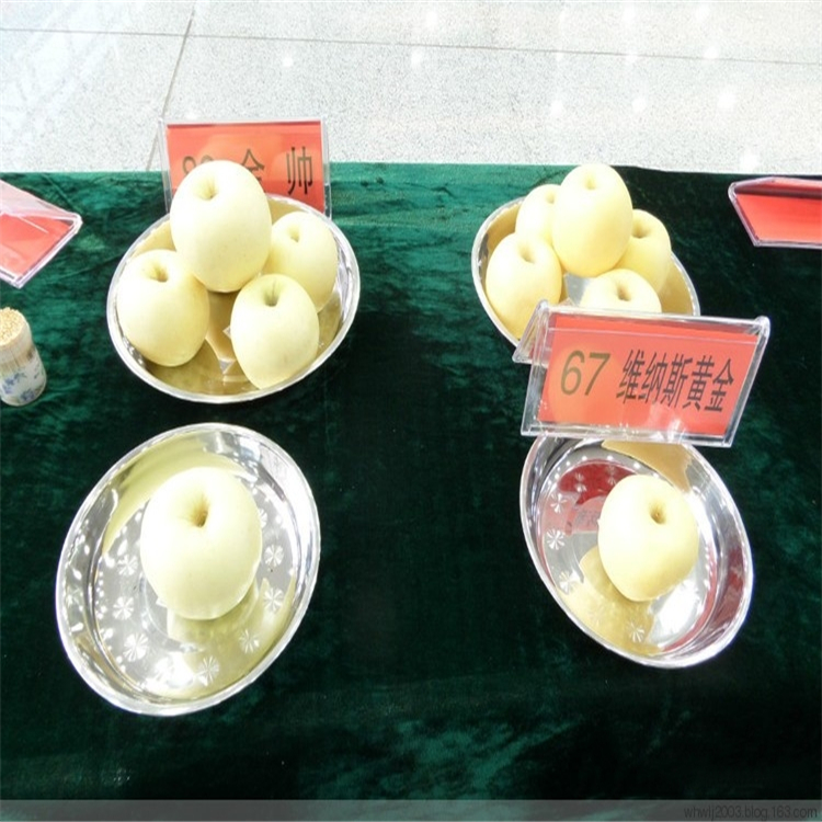 嘎啦蘋果樹苗基地價(jià)格、購(gòu)買嘎啦蘋果樹苗價(jià)格