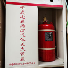 永州柜式七氟丙烷气体灭火系统报价图片