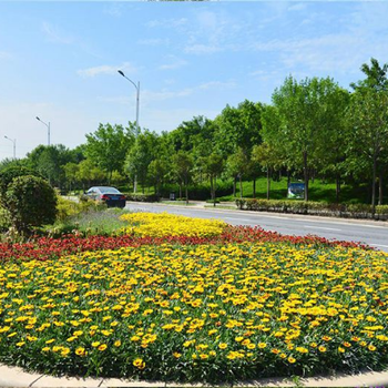 黃圃鎮(zhèn)從事園林綠化養(yǎng)護(hù)養(yǎng)護(hù)服務(wù)