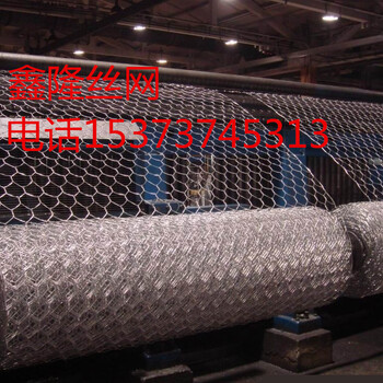 鍍鋅石籠網(wǎng)/高爾凡格賓網(wǎng)/護(hù)坡雙隔板護(hù)墊/鑫隆廠家