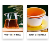 阳江醉茗尖武夷金骏眉红茶厂家直销