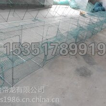 地笼网-地笼网批发-地笼网价格图片
