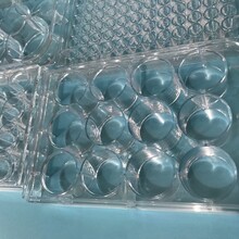 上海增友生物Y-10096无菌一次性透明塑料6孔、12孔、24孔、48孔、96孔圆孔平底细胞培养板TC处理细胞培养板