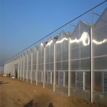 贵州省阳光板温室工程阳光板温室造价