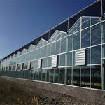阳光板温室大棚造价阳光板温室安装承接阳光板温室工程