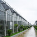 智能玻璃温室大棚厂家-蔬菜育苗温室