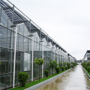 智能玻璃温室大棚厂家-蔬菜育苗温室