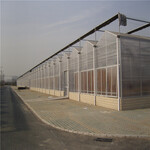 承接阳光板温室大棚设计阳光板温室工程