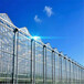养殖型PC板温室建设蔬菜种植阳光板温室大棚报价