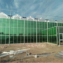 智能玻璃温室大棚造价预算连栋玻璃温室大棚建设施工图片