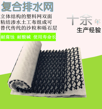 廠家長絲復(fù)合排水網(wǎng)，垃圾填埋場三維復(fù)合排水網(wǎng)