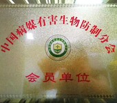 中国病媒生物防治除虫灭鼠服务企业资质申办