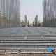 惠州钢筋网厂家价格产品图