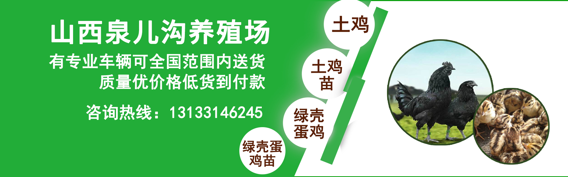 公司介紹