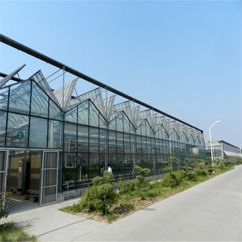 玻璃温室造价连栋玻璃温室金德鑫品牌设计