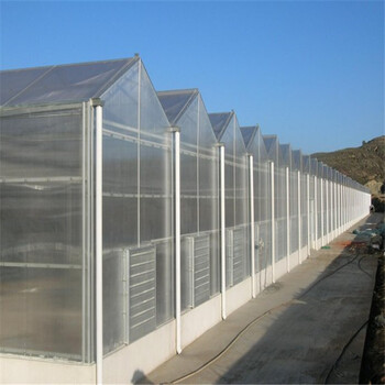 阳光板温室厂家连栋阳光板温室温室大棚