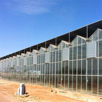 承接玻璃温室大棚建设玻璃大棚设计温室大棚工程