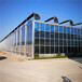 厂家直销智能玻璃温室大棚建设种植智能玻璃温室大棚造价