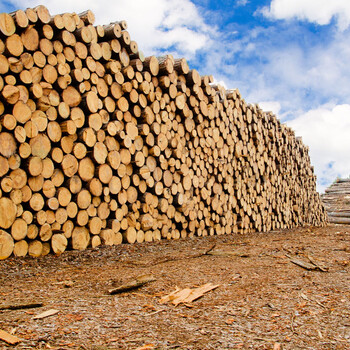 木材进口清关非洲木材进口报关公司