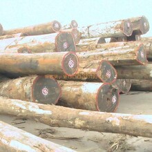 南美木材进口报关代理公司木材进口关税​