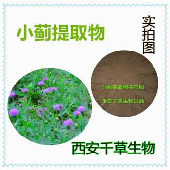 小蓟提取物小蓟浓缩粉小蓟浸膏粉生产浸膏颗粒