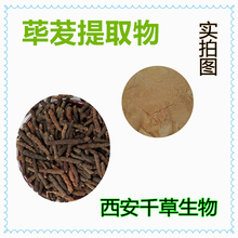 荜茇提取物荜茇浓缩粉荜茇浸膏粉定做浸膏颗粒