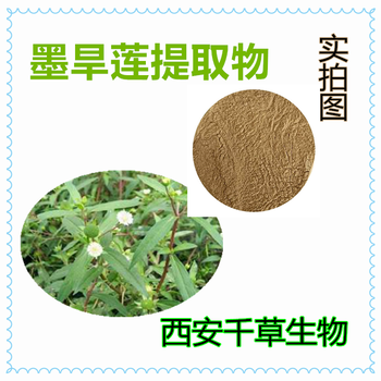 墨旱莲提取物墨旱莲浓缩粉墨旱莲浸膏粉厂家生产浸膏