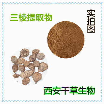 三棱提取物三棱浓缩粉三棱浸膏粉厂家生产浸膏