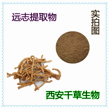 远志提取物远志浓缩粉远志浸膏粉生产浸膏颗粒