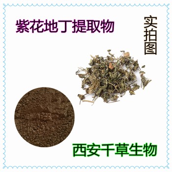 紫花地丁提取物紫花地丁浓缩粉紫花地丁浸膏粉