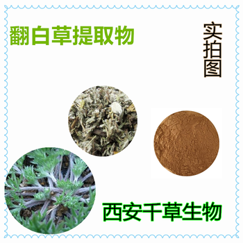 翻白草提取物翻白草浓缩粉翻白草浸膏粉翻白草浸膏