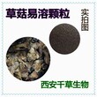 草菇提取物草菇浓缩粉草菇浸膏粉草菇多糖图片