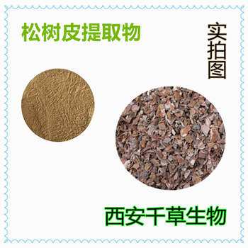 松树皮提取物松树皮浓缩粉松树皮浸膏粉松树皮浸膏颗粒