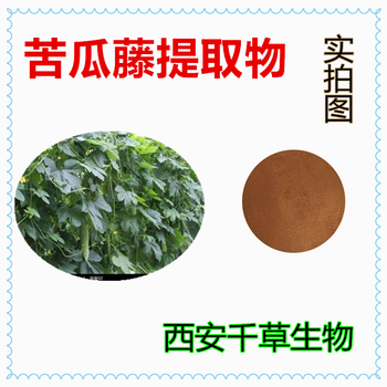 苦瓜藤提取物苦瓜藤浓缩粉苦瓜藤浸膏粉苦瓜藤浸膏颗粒