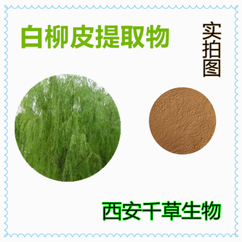 大芸提取物大芸浓缩粉大芸浸膏粉定做浸膏颗粒